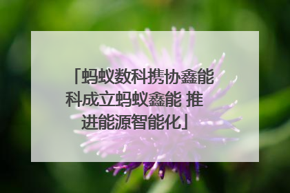 蚂蚁数科携协鑫能科成立蚂蚁鑫能 推进能源智能化